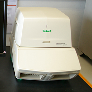 300RT-PCR.jpg