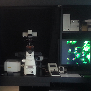 300confocal.jpg